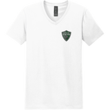 Lansing Spartans Softstyle V-Neck T-Shirt