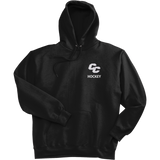 Curry College Ultimate Cotton - Pullover Hooded Sweatshirt