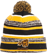 Avon Grove New Era Sideline Beanie