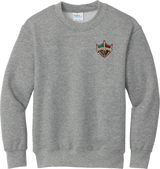 Delaware Ducks Youth Core Fleece Crewneck Sweatshirt