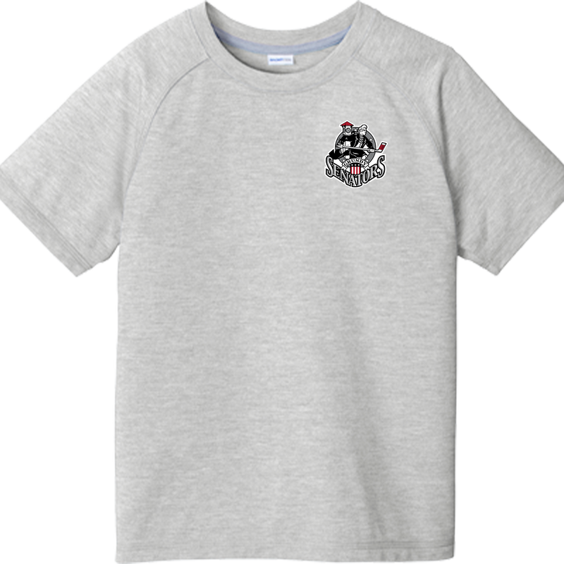 Grundy Senators Youth PosiCharge  Tri-Blend Wicking Raglan Tee